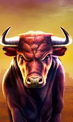 Black Bull